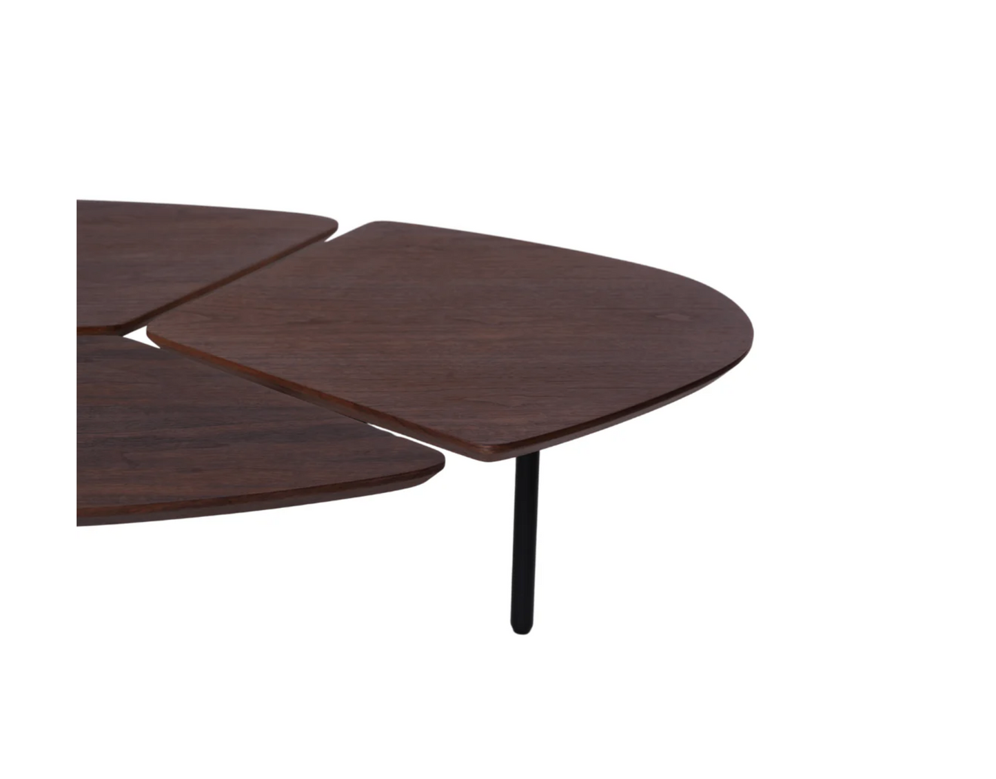 X - Folio Table