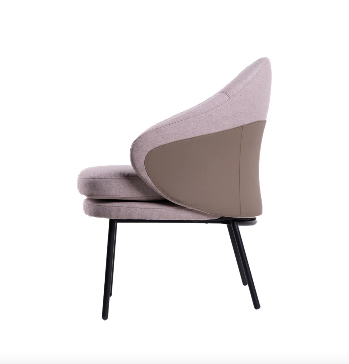 Y - Author Dining Chair